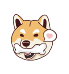 Fat Shiba Inuu（個別スタンプ：31）