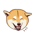 Fat Shiba Inuu（個別スタンプ：37）