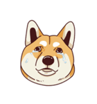 Fat Shiba Inuu（個別スタンプ：39）