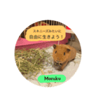 sumo_mochi家のスキニーズ（個別スタンプ：12）