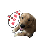 Lovely Dog-Money（個別スタンプ：9）