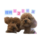 three little dogs（個別スタンプ：17）