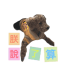 three little dogs（個別スタンプ：34）