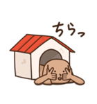 ハナタカ犬（個別スタンプ：7）