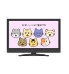 楽しいアホの集まりな猫ちゃんズ（個別スタンプ：29）