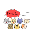 楽しいアホの集まりな猫ちゃんズ（個別スタンプ：35）