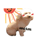 poodle dog yeah yeah（個別スタンプ：6）