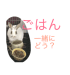 うさぎのもんじゃ（個別スタンプ：4）