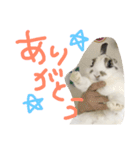 うさぎのもんじゃ（個別スタンプ：12）