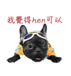 French Bulldog - CEO LIN（個別スタンプ：24）