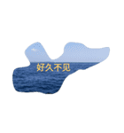 写真 海洋 暖かい波 波浪 中国語 漢字（個別スタンプ：15）