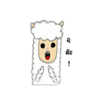 alpaca or sheep（個別スタンプ：7）