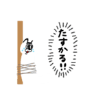 我が家のあめちゃん（個別スタンプ：19）