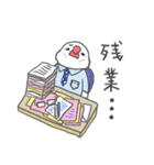 Little Birds Daily (Japanese ver.)（個別スタンプ：16）