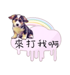 Corgi Do not want to（個別スタンプ：6）