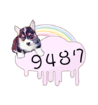 Corgi Do not want to（個別スタンプ：12）