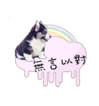 Corgi Do not want to（個別スタンプ：13）