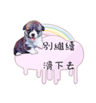 Corgi Do not want to（個別スタンプ：16）