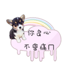 Corgi Do not want to（個別スタンプ：17）