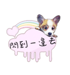 Corgi Do not want to（個別スタンプ：20）