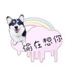 Corgi Do not want to（個別スタンプ：23）