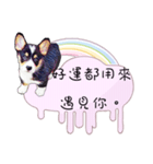 Corgi Do not want to（個別スタンプ：26）