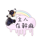 Corgi Do not want to（個別スタンプ：27）