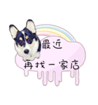 Corgi Do not want to（個別スタンプ：32）