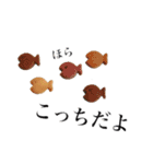 cookie message（個別スタンプ：17）