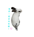 DODORabbit_2（個別スタンプ：3）