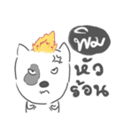 pim dog face（個別スタンプ：20）