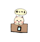 猫のアップくん（個別スタンプ：14）