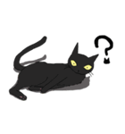 黒猫で会話（個別スタンプ：16）
