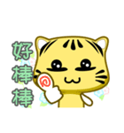 Cute striped cat. CAT166（個別スタンプ：14）