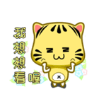 Cute striped cat. CAT167（個別スタンプ：31）