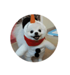 Bo Bo Dog（個別スタンプ：7）