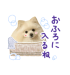 ラルちゃん2（個別スタンプ：24）