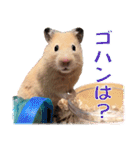 キンクマハムスター ムギの生活3（個別スタンプ：21）