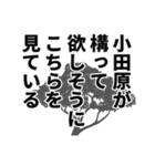 小田原さん名前ナレーション（個別スタンプ：32）