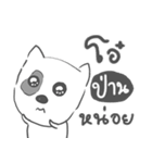 phan dog face（個別スタンプ：23）