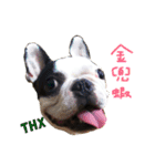 Duke Dog（個別スタンプ：11）