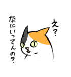 きままな三毛猫さんスタンプ（個別スタンプ：21）