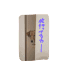 うちの犬のおこげ（個別スタンプ：3）