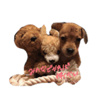 うちの犬のおこげ（個別スタンプ：13）