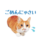 茶白ねこ うにの日常（個別スタンプ：14）