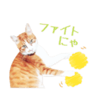 茶白ねこ うにの日常（個別スタンプ：21）