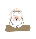 Timid Arctic Wolf（個別スタンプ：9）