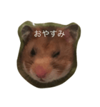 hamsters greetings（個別スタンプ：2）