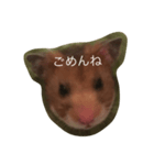 hamsters greetings（個別スタンプ：4）