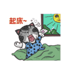 Meowwalker2（個別スタンプ：1）